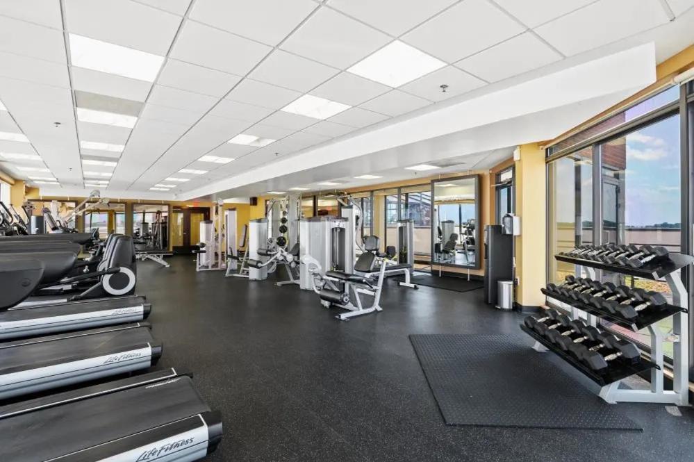 Modern & Charming Apt With Rooftop @Pentagon City Arlington Ngoại thất bức ảnh